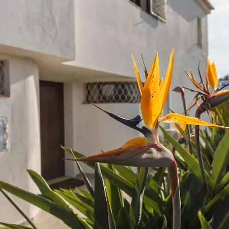 Lovelystay 3 Bedroom House In Vilamoura Hébergement de vacances *